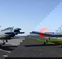 Warrior Warbirds - Open - Maitland Accommodation