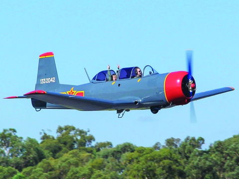 Warrior Warbirds - Open - Maitland Accommodation 1