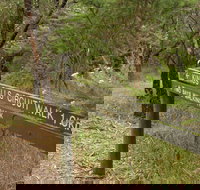 Waterfall Gully - Kings Falls Circuit Walk - Maitland Accommodation