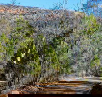 Weddin Gap to Black Spring Loop Trail - Maitland Accommodation