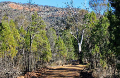 Weddin Gap To Black Spring Loop Trail - Maitland Accommodation 0