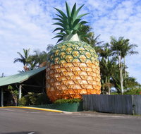 Woombye - Maitland Accommodation