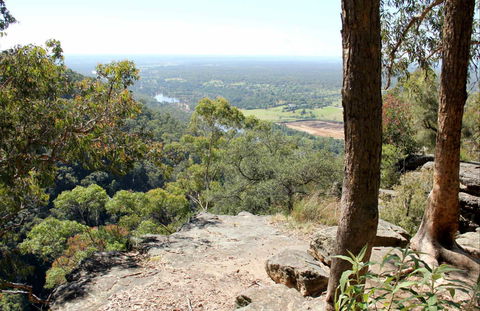 Yellow Rock Lookout - Maitland Accommodation 0