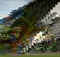 Aboriginal Heritage Walk - Maitland Accommodation