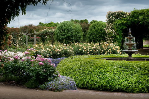 Alowyn Gardens And Nursery - Maitland Accommodation 1