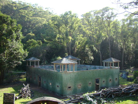 Alpha Paintball - Maitland Accommodation 0