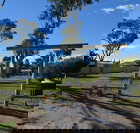 Apex Park  Picnic Area - Maitland Accommodation