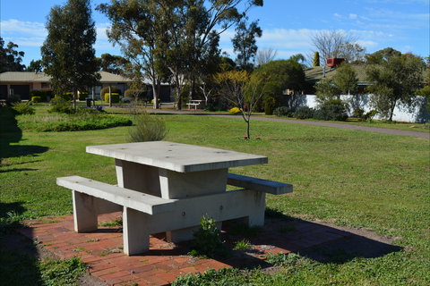 Apex Park & Picnic Area - Maitland Accommodation 1