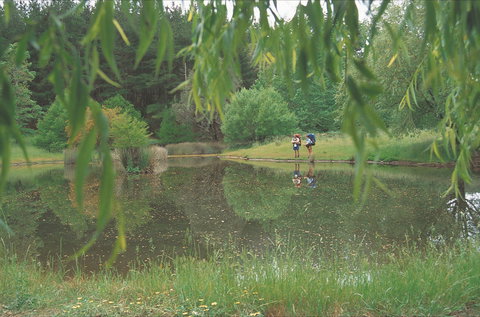 Balingup - Maitland Accommodation 1