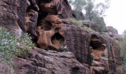Bertha's Gully Walking Track - Maitland Accommodation 0