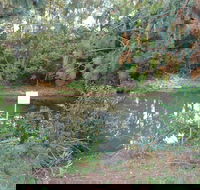 Birdwing Butterfly Walk - Maitland Accommodation