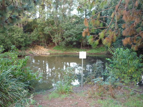 Birdwing Butterfly Walk - Maitland Accommodation 0