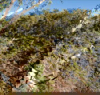 Boonoo Boonoo Falls picnic area - Maitland Accommodation