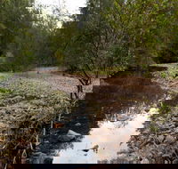 Budawang National Park - Maitland Accommodation