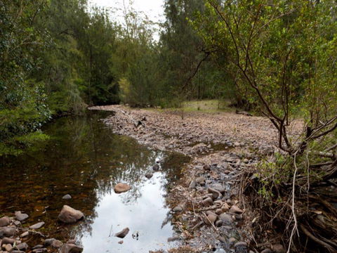 Budawang National Park - Maitland Accommodation 0
