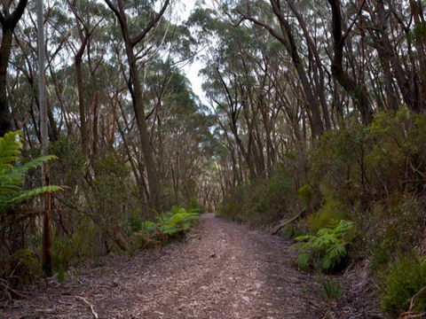 Budawang National Park - Maitland Accommodation 1