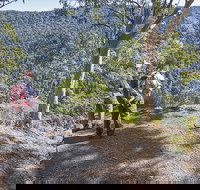 Caves circuit Lamington National Park - Maitland Accommodation