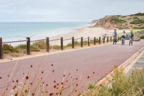 Coast To Vines Rail Trail - Maitland Accommodation 0