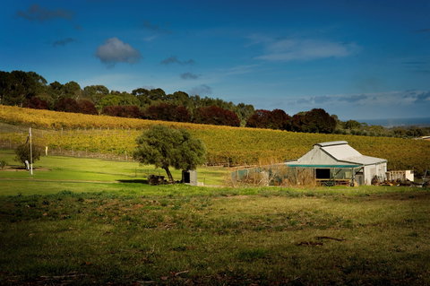 Coast To Vines Rail Trail - Maitland Accommodation 2
