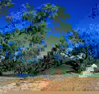 Comet - Maitland Accommodation