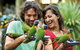 Currumbin Wildlife Sanctuary - thumb 0