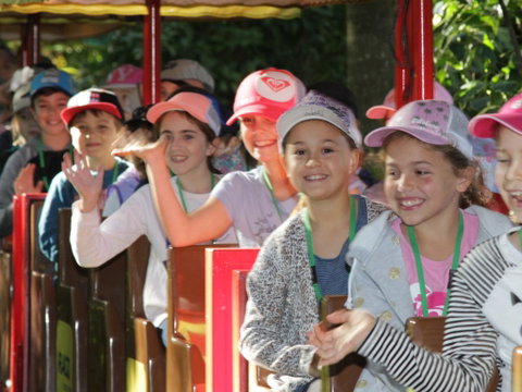 Currumbin Wildlife Sanctuary - Maitland Accommodation 1