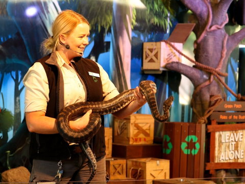Currumbin Wildlife Sanctuary - Maitland Accommodation 2