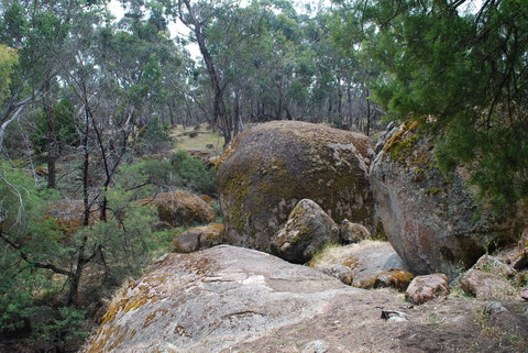 Dergholm State Park - Maitland Accommodation 0