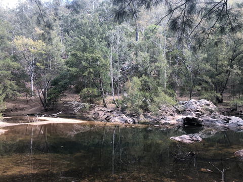 Deua River Camp Ground - Maitland Accommodation 0