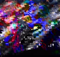 Didgeridoo Festivals - Maitland Accommodation