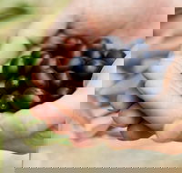 Eat Pick Grow Trail - Wanneroo and Chittering - Maitland Accommodation