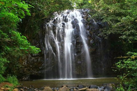 Ellinjaa Falls - Maitland Accommodation 0
