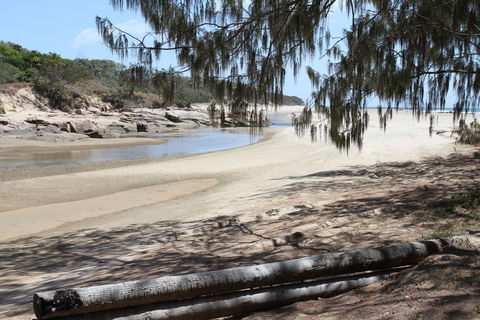Eurimbula National Park - Maitland Accommodation 2