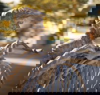 Evandale - Maitland Accommodation