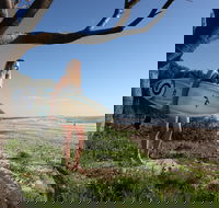 Evans Head Surf Shack - Maitland Accommodation