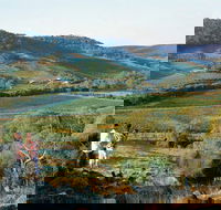 Farm Flavour Trail Chittering Valley - Maitland Accommodation