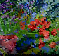 Ferry Artists Gallery - Maitland Accommodation