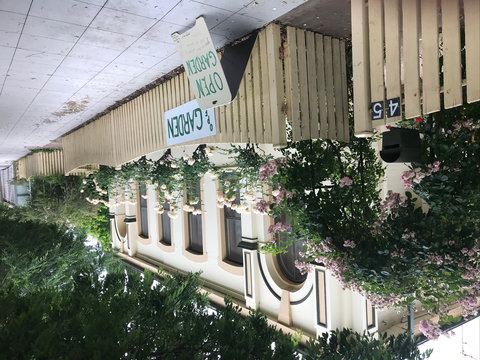 Flora Bank - Historic Home And Gardens - Maitland Accommodation 0