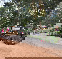 Fred's Pass Rural Market - Maitland Accommodation