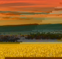 Galore Hill Scenic Reserve - Maitland Accommodation