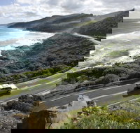 Great Ocean Road - Maitland Accommodation