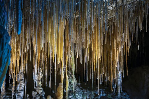 Hastings Caves And Thermal Springs - Maitland Accommodation 0