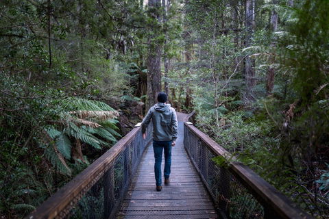 Hastings Caves And Thermal Springs - Maitland Accommodation 1