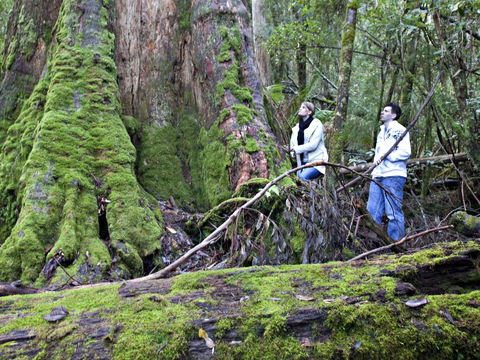 Hastings Caves And Thermal Springs - Maitland Accommodation 2