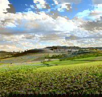 Hodgson Vale - Maitland Accommodation