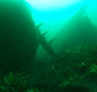 Investigator Strait Shipwreck Trail - Maitland Accommodation
