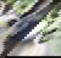 John Egan Pioneer Track - Maitland Accommodation