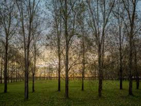 John Tucker Park - Maitland Accommodation 1