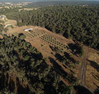 Julimar Date Garden - Maitland Accommodation