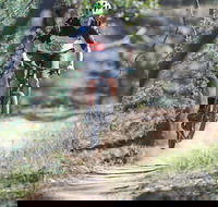 Kidsons Cycles - Maitland Accommodation